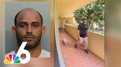 via gonzales link viral video|Pet Groomer Seen Kicking Dog In Viral Video Gets Arrested.